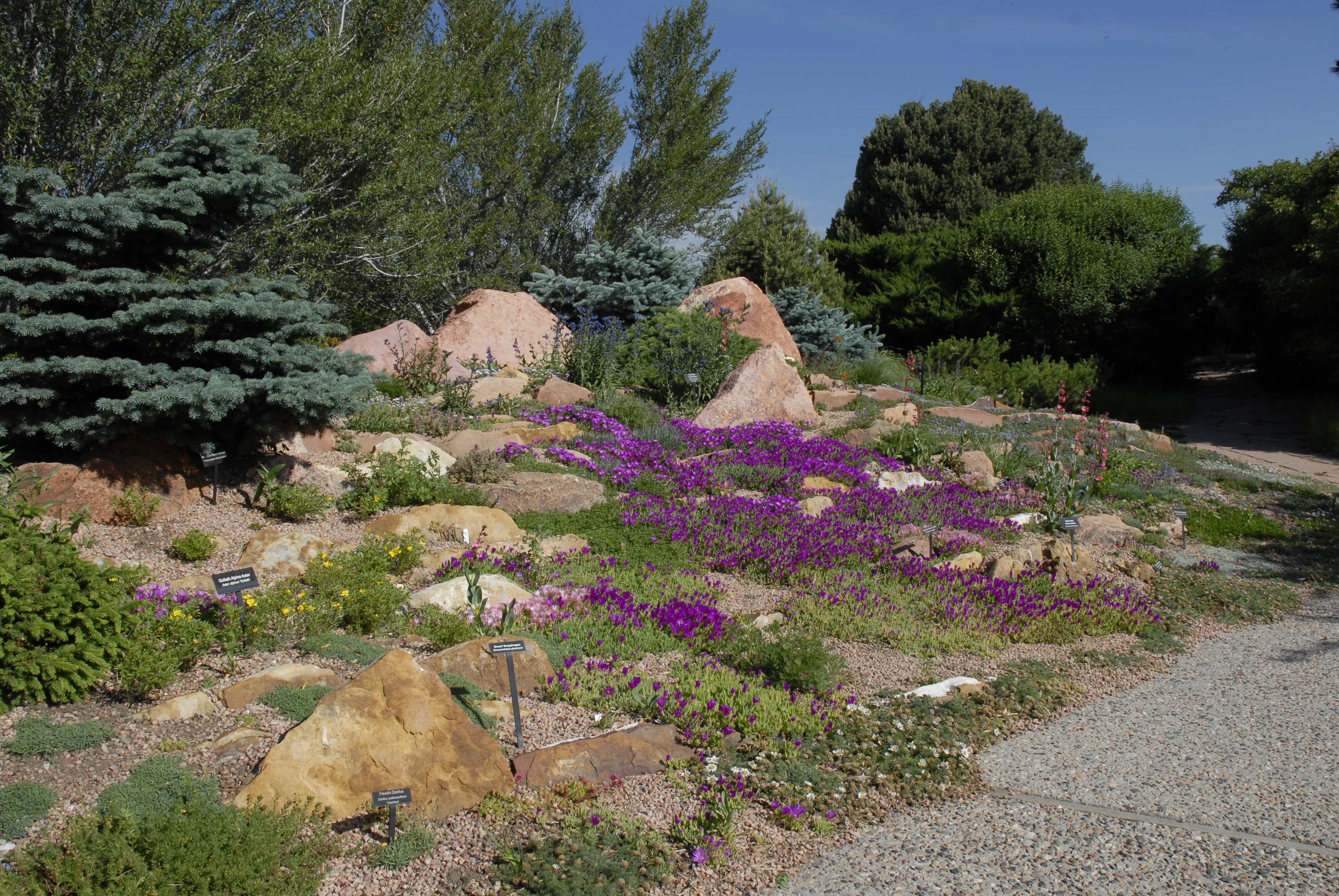 Rock Crevice Garden